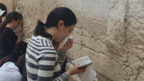 娱乐圈吃瓜搬运工